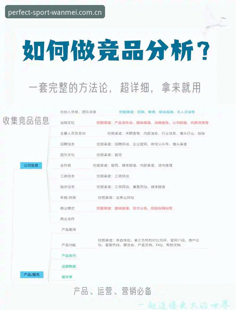 完美体育竞品对比 完美体育竞品对比详解:新手如何选择最适合自己的平台